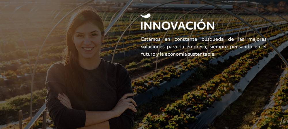 Blumos_Somos - Innovación