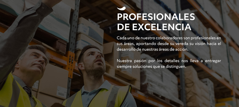 Blumos - Somos profesionales de excelencia