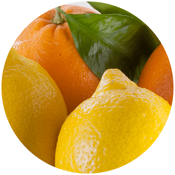 alimentos-sabores-circle Alimentos_Sabores