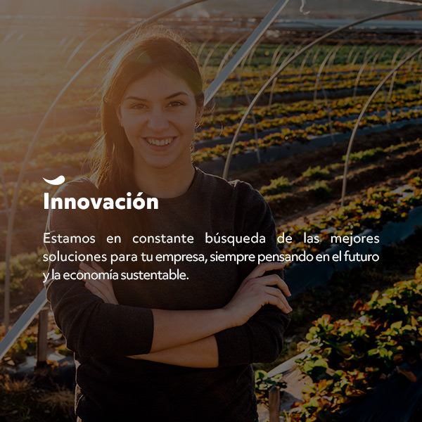 Blumos_mobile_Somos - Innovación