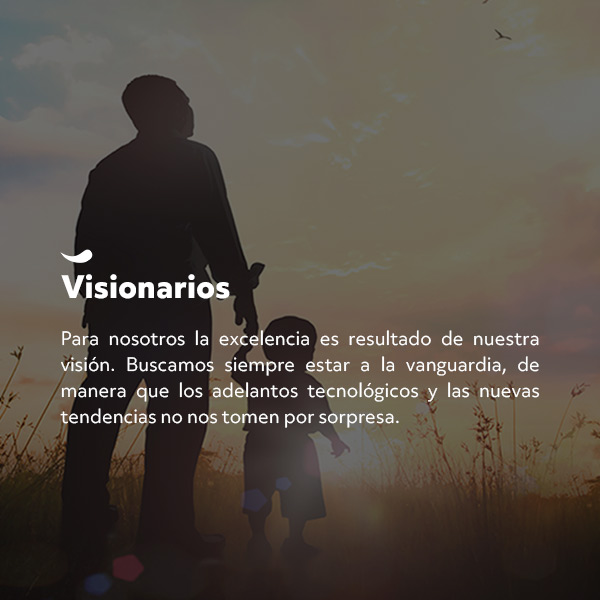 Blumos_mobile - Somos visionarios