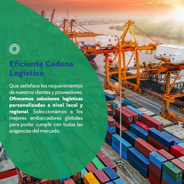 En Blumos tenemos una eficiente cadena logística