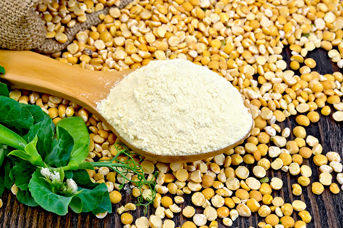 Roquettte abrirá planta de proteína de arveja