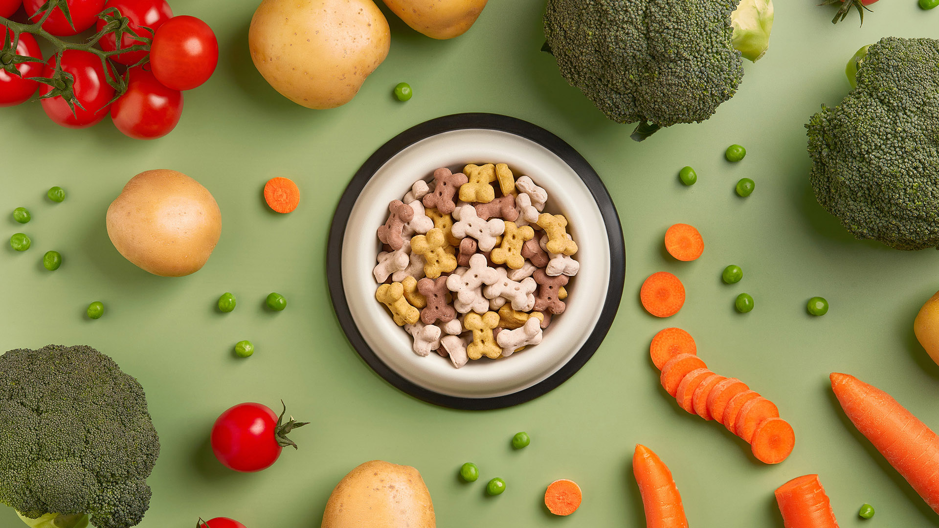 Prote Nas Plant Based El Futuro En Petfood Grupo Blumos Cl