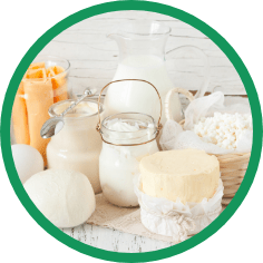 Solution_ Dairy