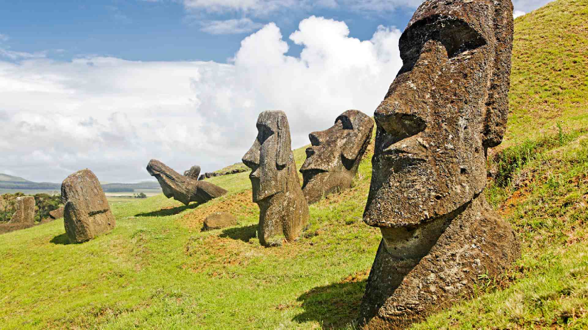 Científicos investigan el origen y la diversidad de cepas de vid en Rapa Nui.