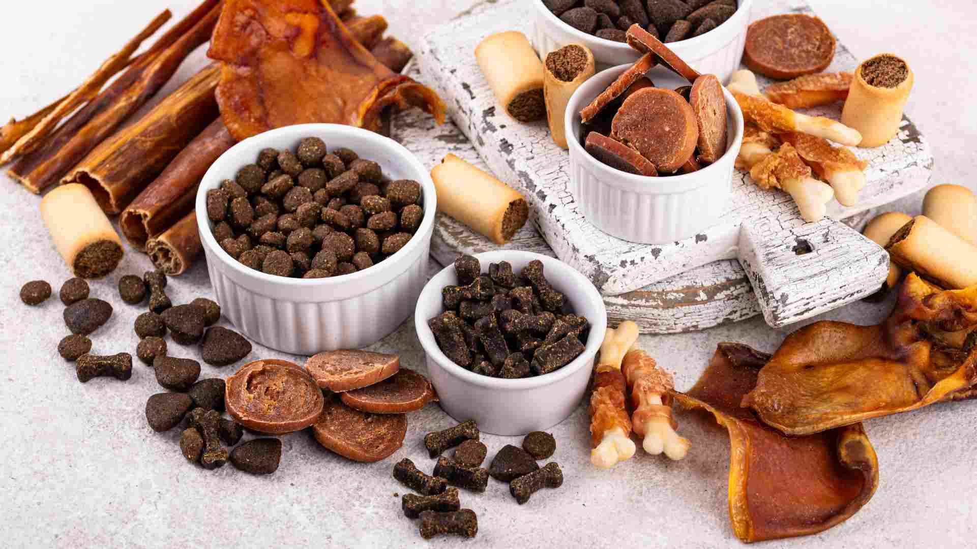 Tendencias actuales en la industria de alimentos para mascotas