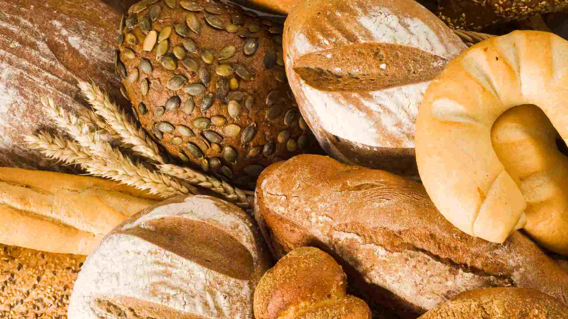 Panadería con cereales alternativos como espelta, kamut, quinoa y amaranto, mostrando productos horneados saludables y variados.